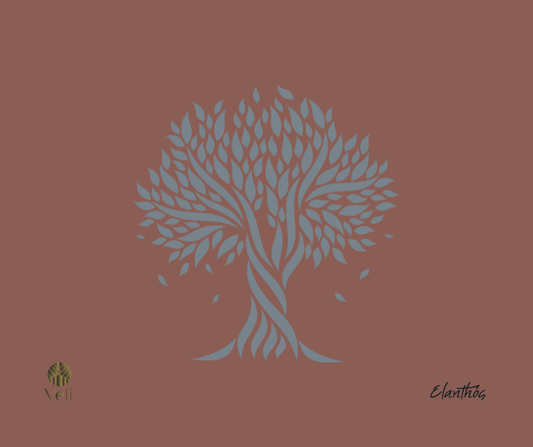 November 26th is World Olive Tree Day