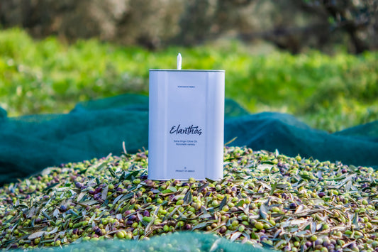 The Story Behind ELANTHÓS: Authentic Greek Extra Virgin Olive Oil From Messinia